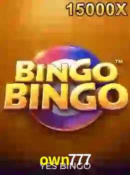 bingobingo